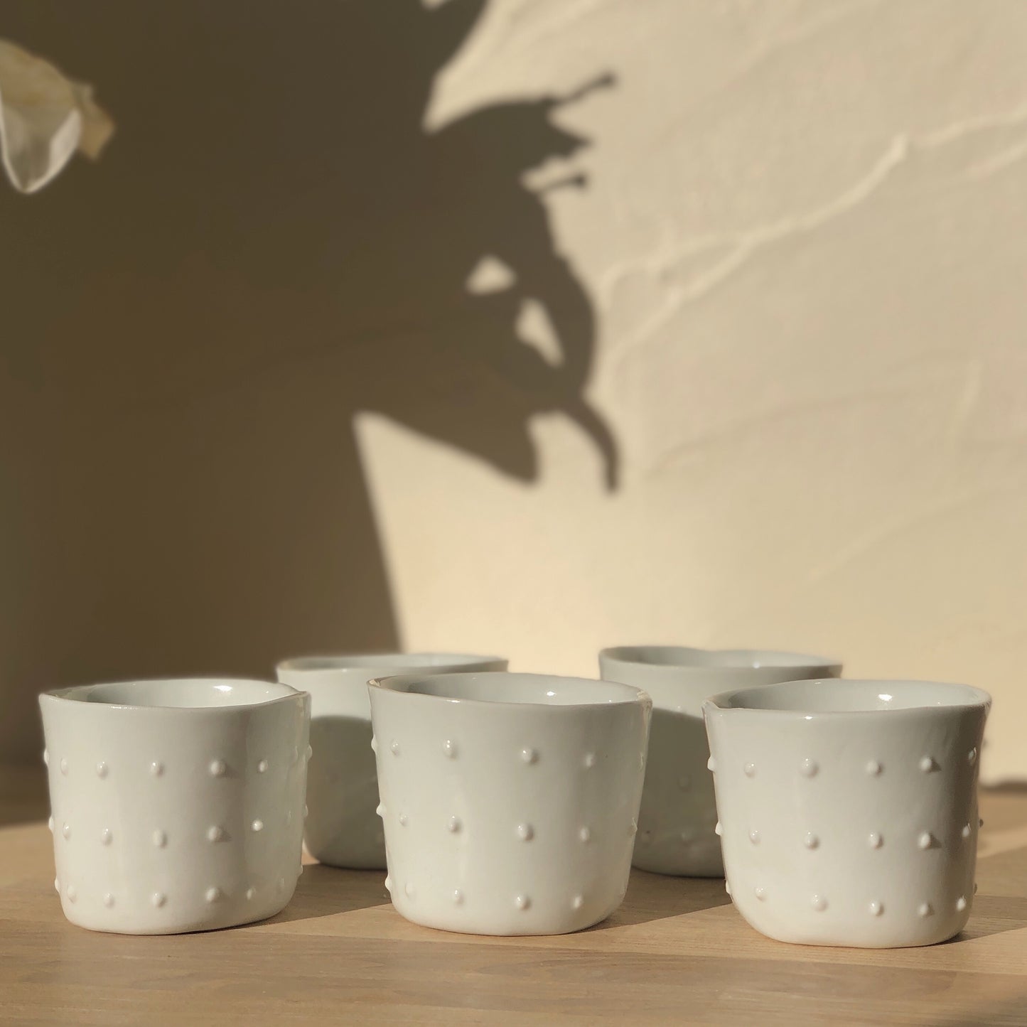 Cup dot pattern / カップ ドット