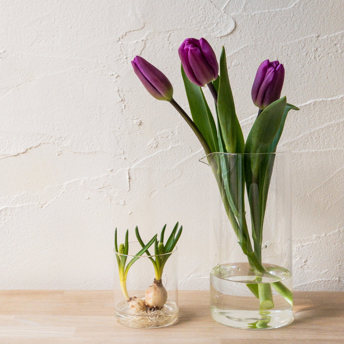 BOROSIL VISION JUG LARGE / ボロシルヴィジョンジャグ LARGE